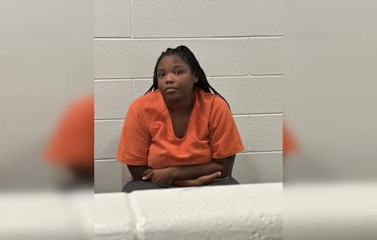 Individual Arrested for Alleged Terroristic Threats at North Villa Hotel in North Freeway Area