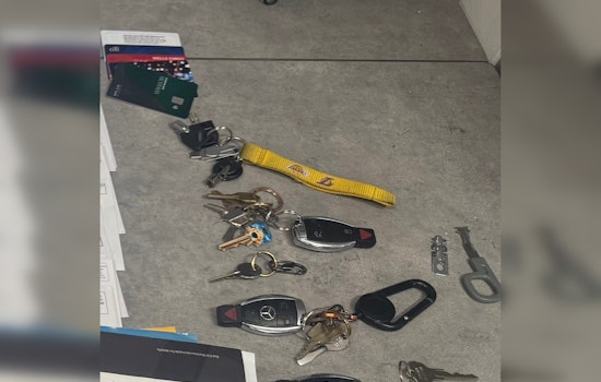 Irvine Police Nab Suspects Accused of Mail Theft; Anaheim and Garden Grove Residents Charged