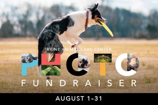 Irvine's Annual Pet Photo Fundraiser Kicks Off August 1 to Support Local Animal Care Programs