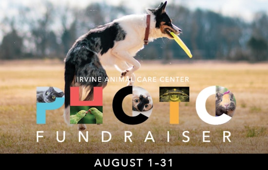 Irvine's Annual Pet Photo Fundraiser Kicks Off August 1 to Support Local Animal Care Programs