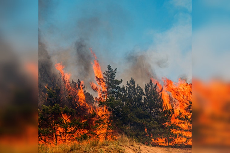 Issaquah Urges Residents to Adopt 'Ready, Set, Go!' Wildfire Preparedness Strategy Ahead of Fire Season