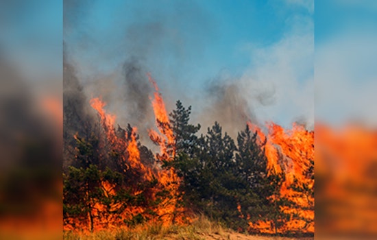 Issaquah Urges Residents to Adopt 'Ready, Set, Go!' Wildfire Preparedness Strategy Ahead of Fire Season
