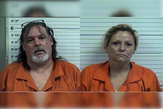 Jellico, TN Drug Sweep Leads to Arrests, Campbell County Sheriff's Office Seizes Schedule I, II, VI Substances
