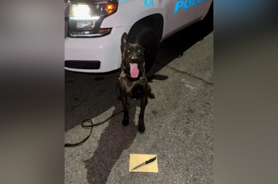 K-9 Hero Bolt Finds Critical Evidence in North Las Vegas Domestic Violence Incident