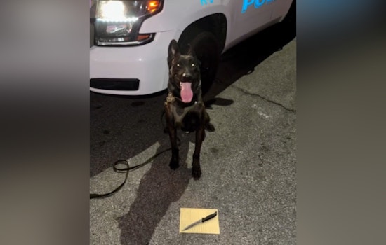 K-9 Hero Bolt Finds Critical Evidence in North Las Vegas Domestic Violence Incident