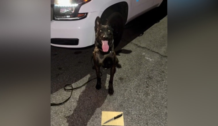 K-9 Hero Bolt Finds Critical Evidence in North Las Vegas Domestic Violence Incident