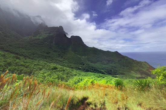 Kauai Fire Department Rescues Texas Hikers from Kalalau Trail and They Refuse Medical Care After Ankle Injury and Heatstroke Symptoms