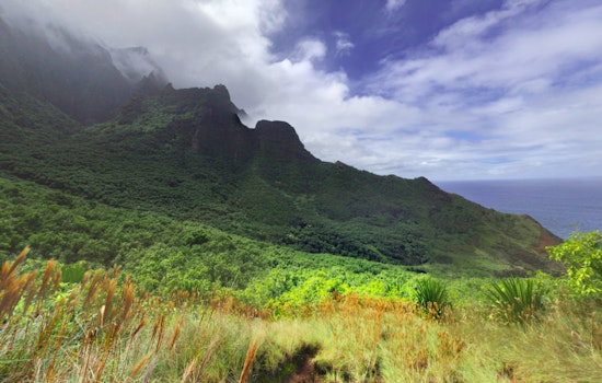 Kauai Fire Department Rescues Texas Hikers from Kalalau Trail and They Refuse Medical Care After Ankle Injury and Heatstroke Symptoms