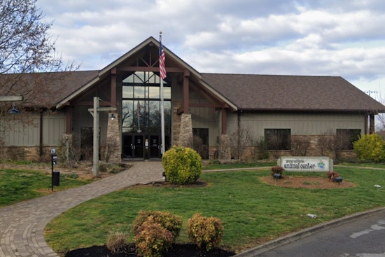 Knoxville's Young-Williams Animal Center Reaches 'Critical Capacity', Calls for Community Action Amid Pet Overcrowding Crisis