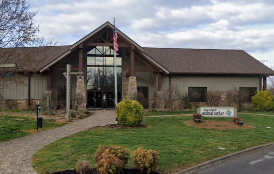 Knoxville's Young-Williams Animal Center Reaches 'Critical Capacity', Calls for Community Action Amid Pet Overcrowding Crisis