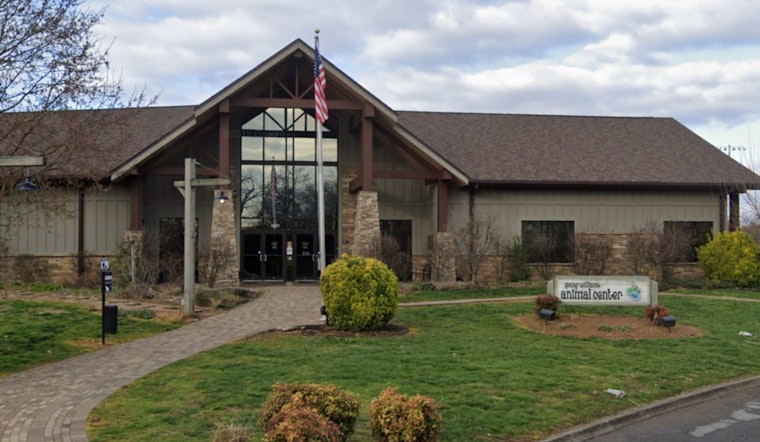 Knoxville's Young-Williams Animal Center Reaches 'Critical Capacity', Calls for Community Action Amid Pet Overcrowding Crisis