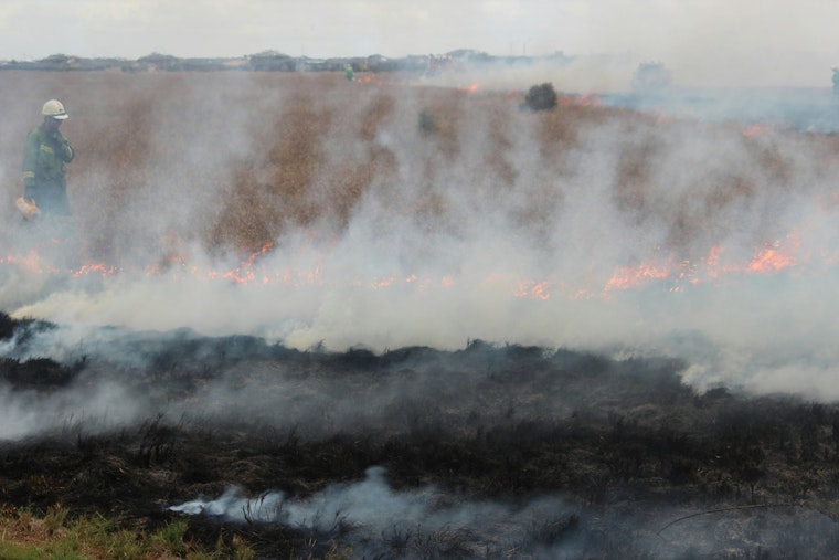 LAFD Halts 3-Acre Brush Fire in Montecito Heights, No Structures Threatened