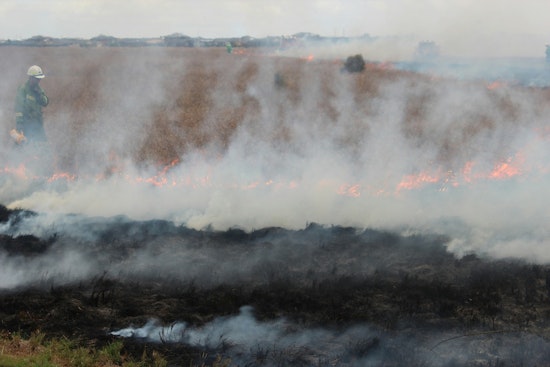 LAFD Halts 3-Acre Brush Fire in Montecito Heights, No Structures Threatened