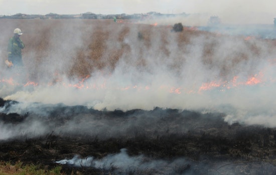 LAFD Halts 3-Acre Brush Fire in Montecito Heights, No Structures Threatened