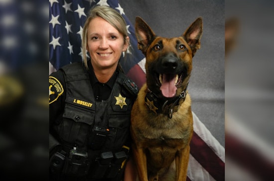 Lancaster County Sheriff's Office Celebrates Deputy Moseley and K-9 Bojack in 'Behind the Badge' Series