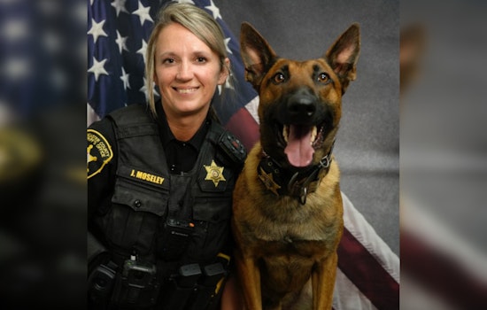 Lancaster County Sheriff's Office Celebrates Deputy Moseley and K-9 Bojack in 'Behind the Badge' Series