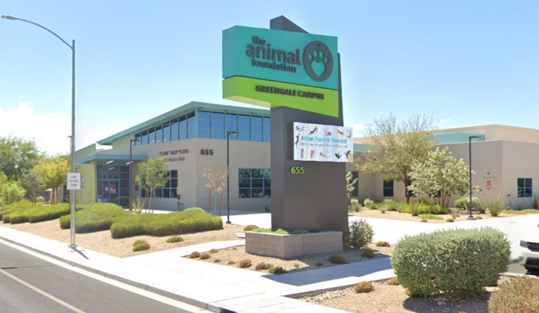 Las Vegas Animal Foundation Urges Adoption of Rescued Rabbits from Local Dumping Ground