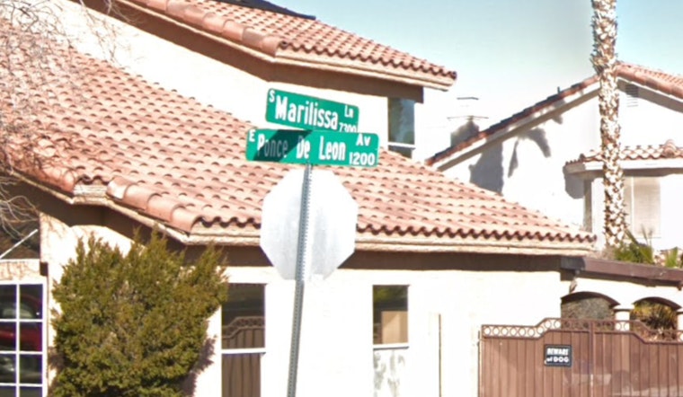 Las Vegas Firefighters Tame Blazing Garage Fire in Clark County, Residents and Pets Safe