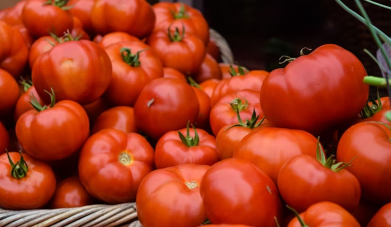 Las Vegas Restaurants Brace for Impact as U.S. Slaps 20.91% Tariff on Mexican Tomato Imports