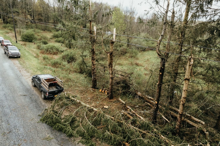 Las Vegas Valley Tree Services in Overdrive After Destructive Windstorm Uproots Trees and Topples Power Poles