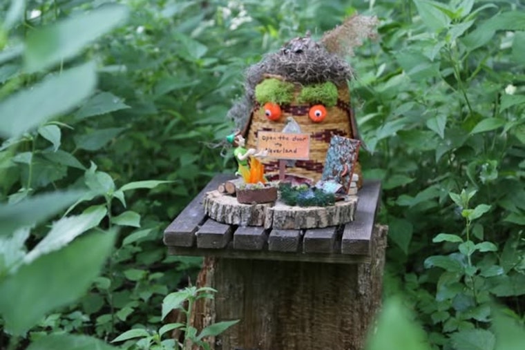 Last Chance to Explore Trail of Small Wonders at St. Louis Park's Westwood Hills Nature Center