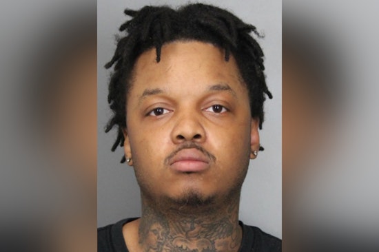 Laurel Man Charged with Multiple Thefts in Eastern Sussex County, Released on Recognizance