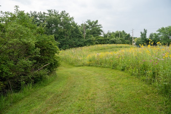 Lawrence, Indiana Blossoms into a Pollinator Paradise with New Butterfly & Pollinator Habitats