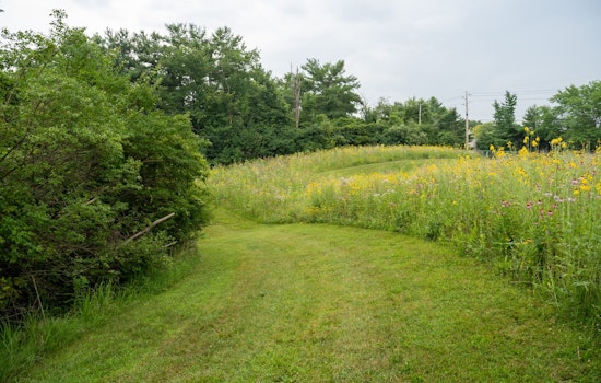 Lawrence, Indiana Blossoms into a Pollinator Paradise with New Butterfly & Pollinator Habitats