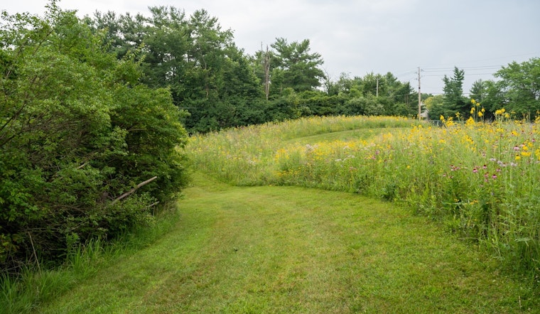 Lawrence, Indiana Blossoms into a Pollinator Paradise with New