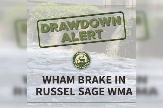 LDWF Begins Controlled Drawdown at Wham Brake to Combat Invasive Species and Promote Waterfowl Habitat
