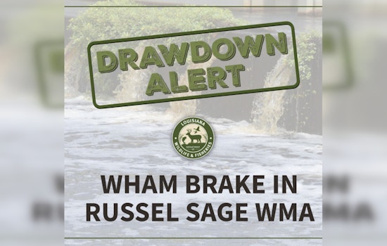 LDWF Begins Controlled Drawdown at Wham Brake to Combat Invasive Species and Promote Waterfowl Habitat