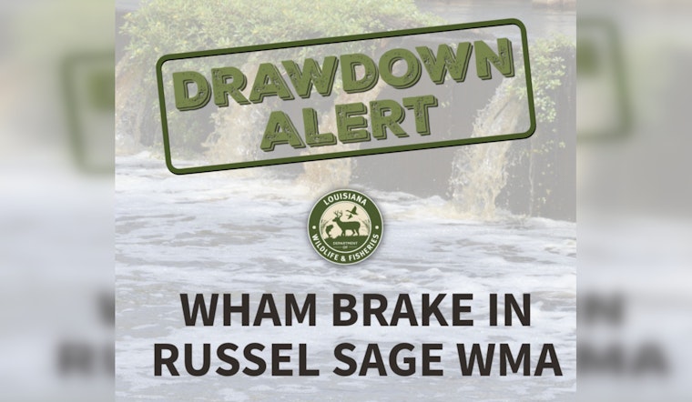LDWF Begins Controlled Drawdown at Wham Brake to Combat Invasive Species and Promote Waterfowl Habitat