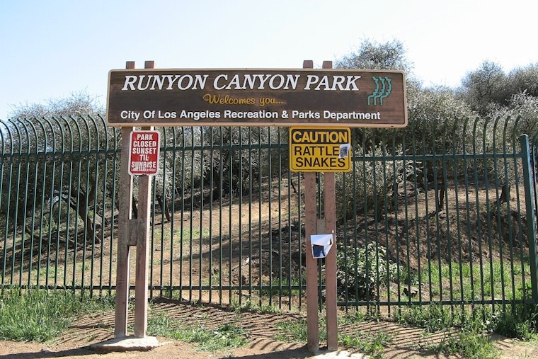Los Angeles Hikers Heroically Detain Alleged Arsonist Amidst Runyon Canyon Brush Fire
