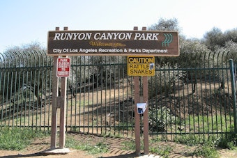 Los Angeles Hikers Heroically Detain Alleged Arsonist Amidst Runyon Canyon Brush Fire