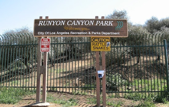 Los Angeles Hikers Heroically Detain Alleged Arsonist Amidst Runyon Canyon Brush Fire