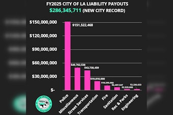 Los Angeles Hits Record $286 Million in Liability Payouts, Impacting City Services and Employment