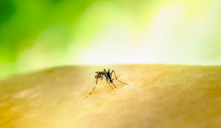 Louisiana Battles West Nile Virus Threat as Mosquitoes Test Positive in Multiple Zones