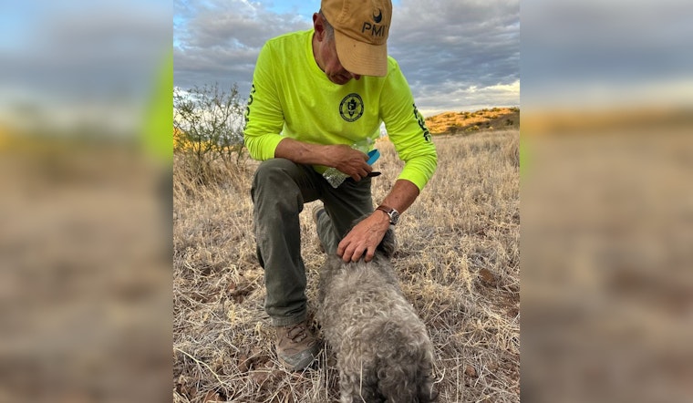 Loyal Dog Found by Rescue Team Beside Deceased Owner in Arizona Desert