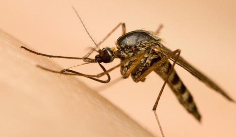 Macomb County Health Department Reports First Detection of West Nile Virus in Mosquitoes This Season