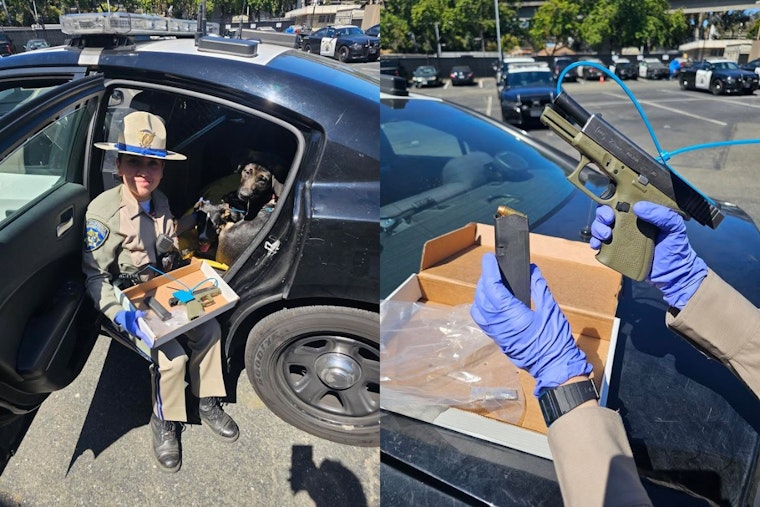 Man Walking With Dogs on I-580 Arrested for Carrying Concealed, Unregistered Firearm Near Oakland