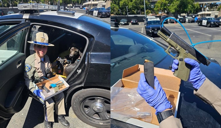 Man Walking With Dogs on I-580 Arrested for Carrying Concealed, Unregistered Firearm Near Oakland