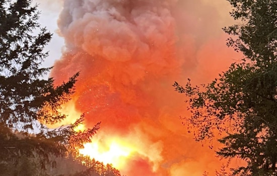Mason County Residents Urged to Evacuate as Bear Gulch Fire Expands, Threatens Lake Cushman Area