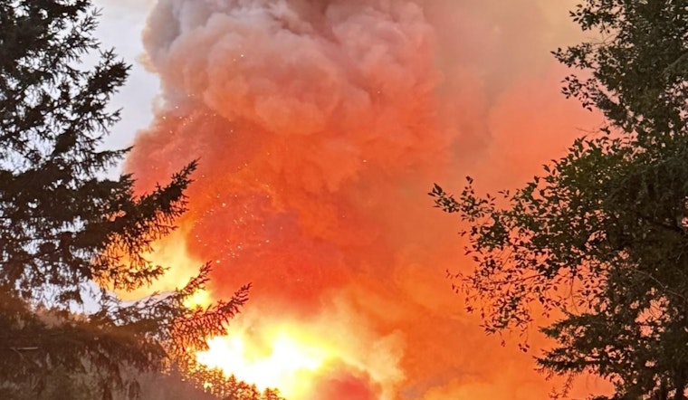 Mason County Residents Urged to Evacuate as Bear Gulch Fire Expands, Threatens Lake Cushman Area