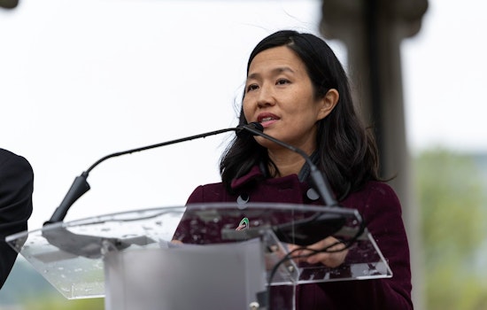 Mayor Michelle Wu Appoints Jonathan Garland and David Nagahiro to Diversify Boston Civic Design Commission