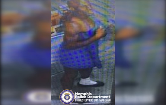 Memphis Police Seek Information on Vandalism Suspect After BP Gas Station Incident on Lamar Avenue