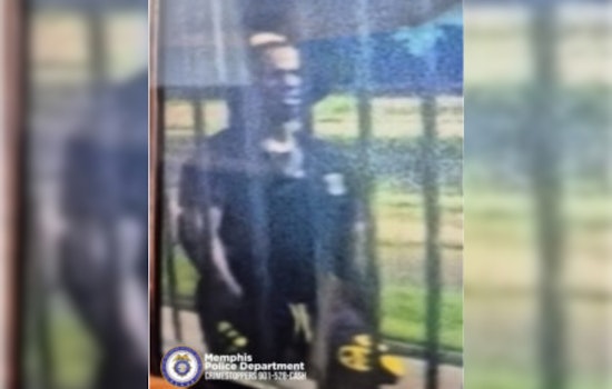 Memphis Police Seek Suspect in Daylight Burglary at First Choice Storage on Raleigh Lagrange Road