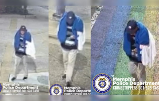 Memphis Police Seek Suspect in Vicious Assault on Elderly Woman in Cooper-Young Neighborhood