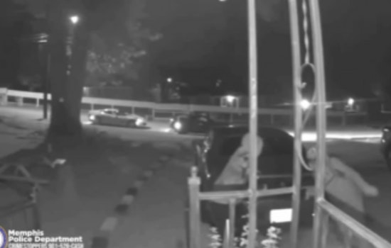 Memphis Police Seek Suspects in Armed Theft of Dodge Challenger, Involvement of Stolen Corvette and Camaro