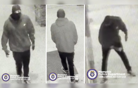Memphis Taqueria La Guadalupana Suffers Vandalism, Police Seek Unidentified Suspect