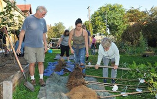 Met Council Invests $2.5M in Twin Cities' Greening, Thousands of Trees to be Planted, Hazardous Ones Removed